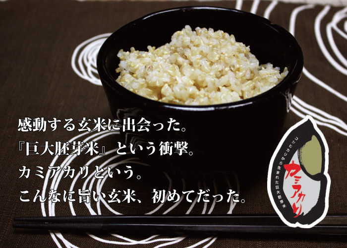 カミアカリ - お米マイスター＆米食味鑑定士の森島米店